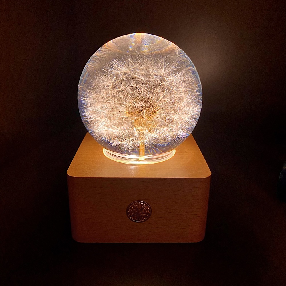 Forever Flowers 3D Crystal Ball with LED Lights.  Makes a perfect gift.